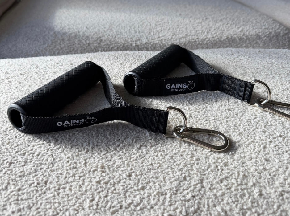 Premium Handles with Hooks (Pair)